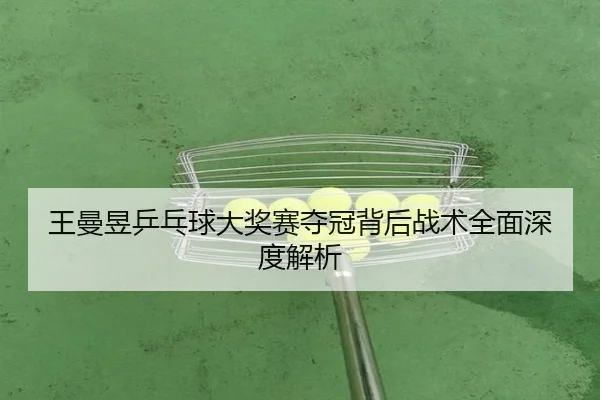 王曼昱乒乓球大奖赛夺冠背后战术全面深度解析